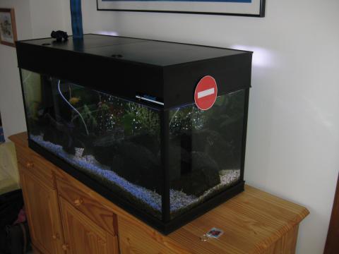 aquarium verbod